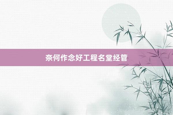 奈何作念好工程名堂经管
